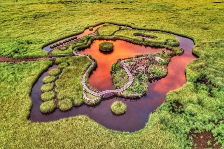 Mathikilhi eco garden, addu city