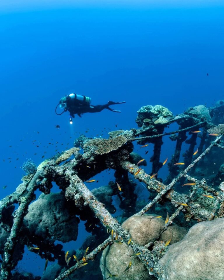 British Loyalty Wreck, the most popular dive site among global divers